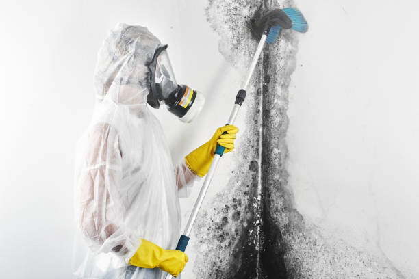 Best Airborne Mold Testing  in Paris, KY