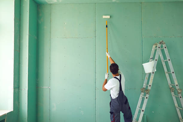 Best Basement Mold Removal  in Paris, KY