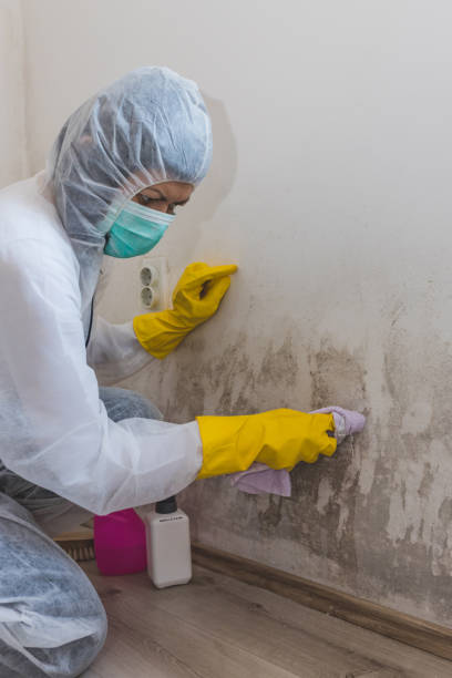 Best Air Quality Testing for Mold Spores  in Paris, KY