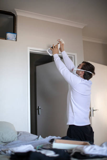 Mold Remediation for Rental Properties in Paris, KY