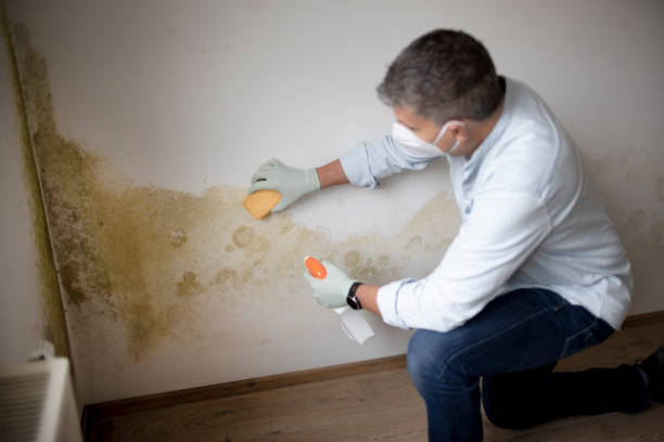 Dehumidification Services in Paris, KY