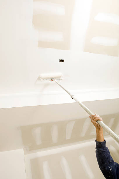 Best Basement Mold Removal  in Paris, KY