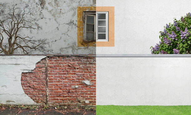 Best Mold Prevention Services  in Paris, KY