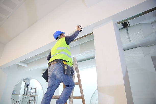 Best Post-Construction Mold Inspection  in Paris, KY