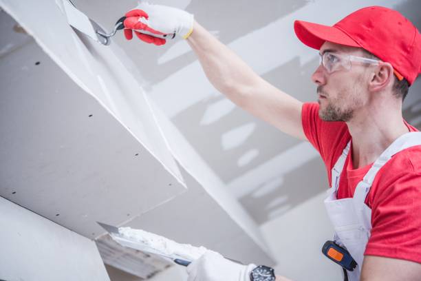 Best Industrial Mold Remediation  in Paris, KY