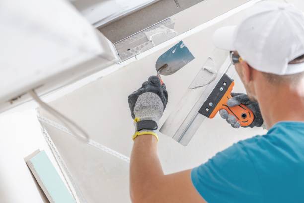 Best Real Estate Mold Inspection  in Paris, KY
